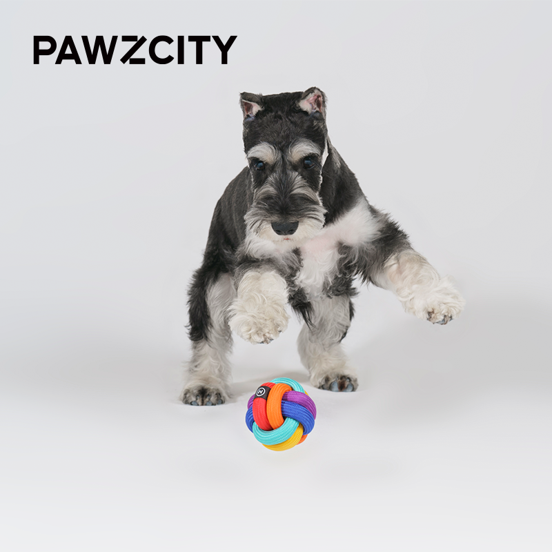 PAWZCITY Interactive Rope Ball - Rainbow Dare To Love