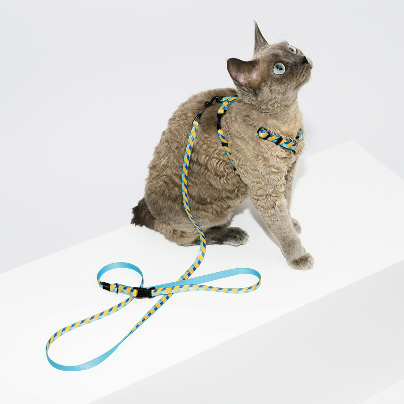 PAWZCITY Harness & Leash Set For Cat - Art Deco S