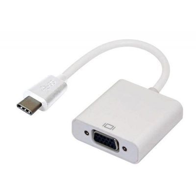 Astrotek 雷电 USB 3.1 Type C (USB-C) 转 VGA 转接器，公转母